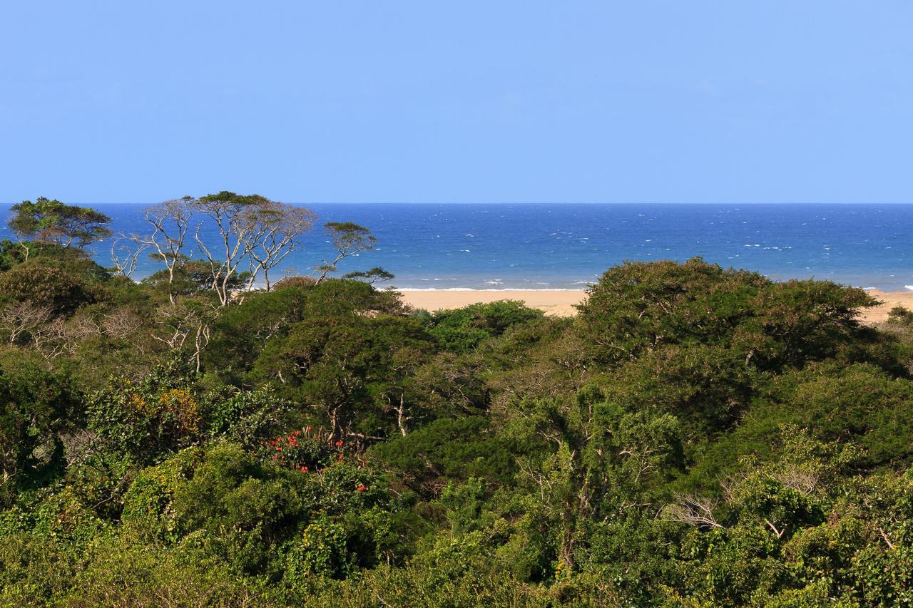 St Lucia Eco Lodge 외부 사진